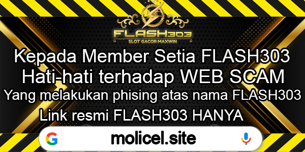 flash303